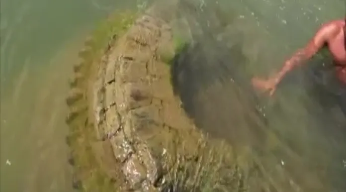 Odisha: The upper part of the 500-year-old Gopinath temple, submerged in the Mahanadi, came again over the river, was submerged one and a half years ago